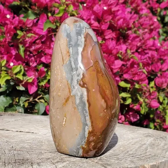 4lbs+ Polychrome Jasper Crystal Freeform Standing2030 Grams4lbs 8oz